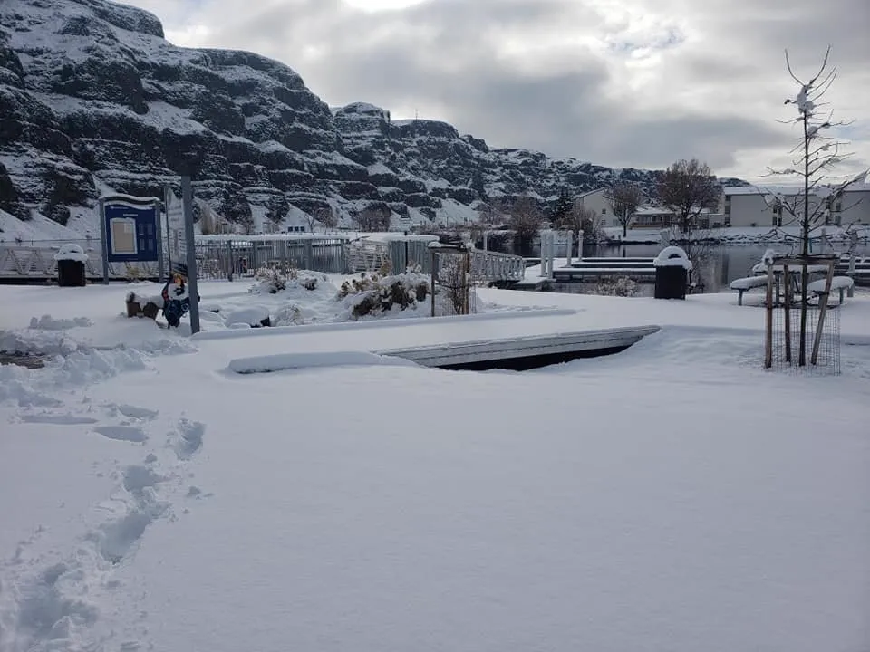 Winter photo 22
