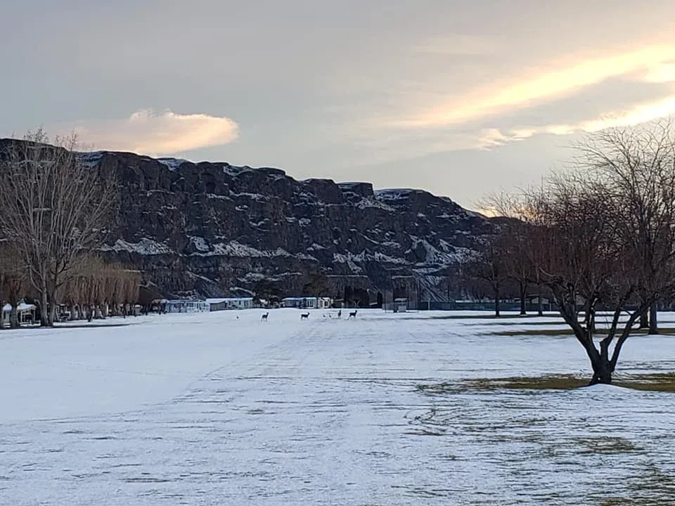 Winter photo 36