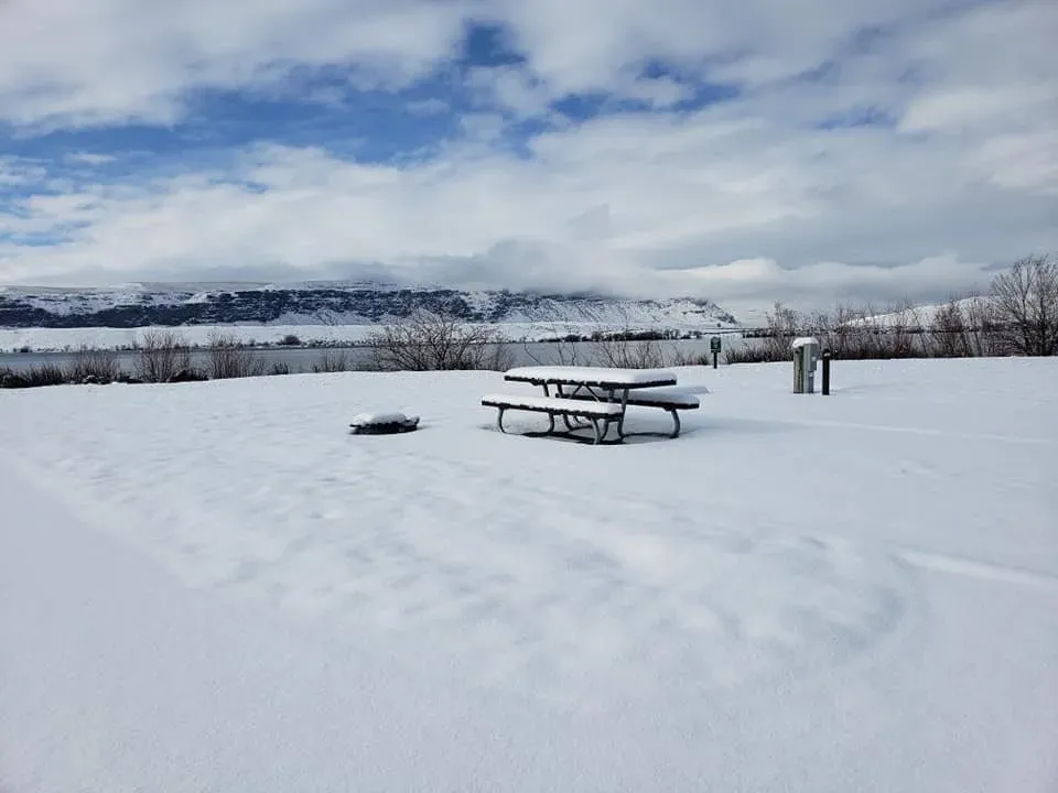 Winter photo 16