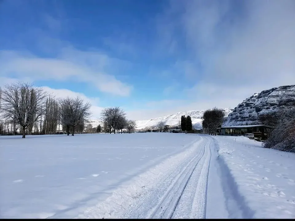 Winter photo 38