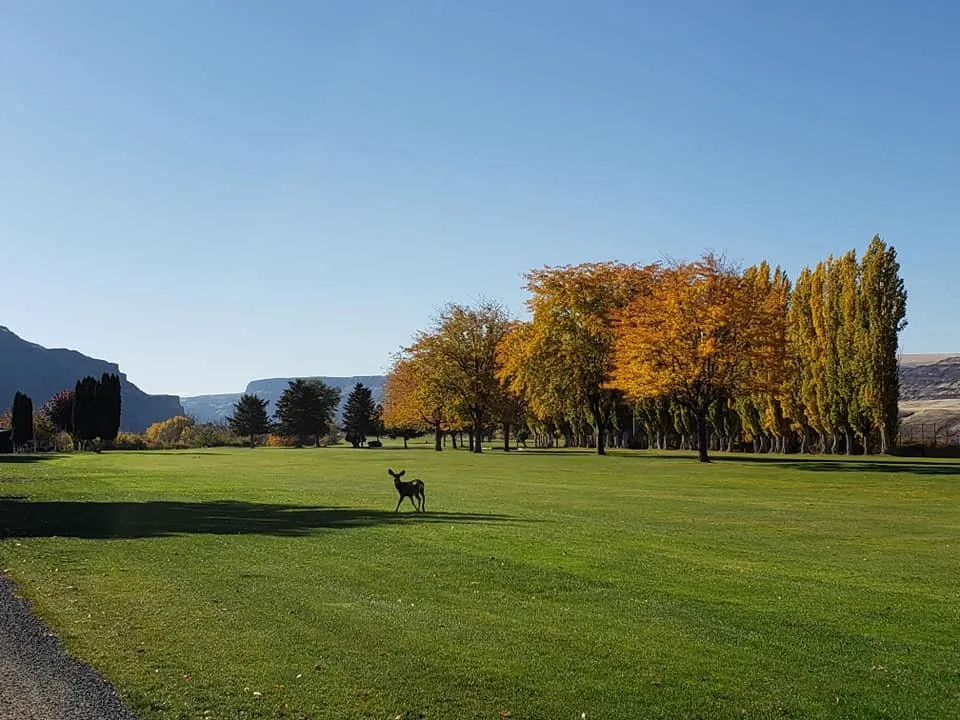 Golf Course photo 8