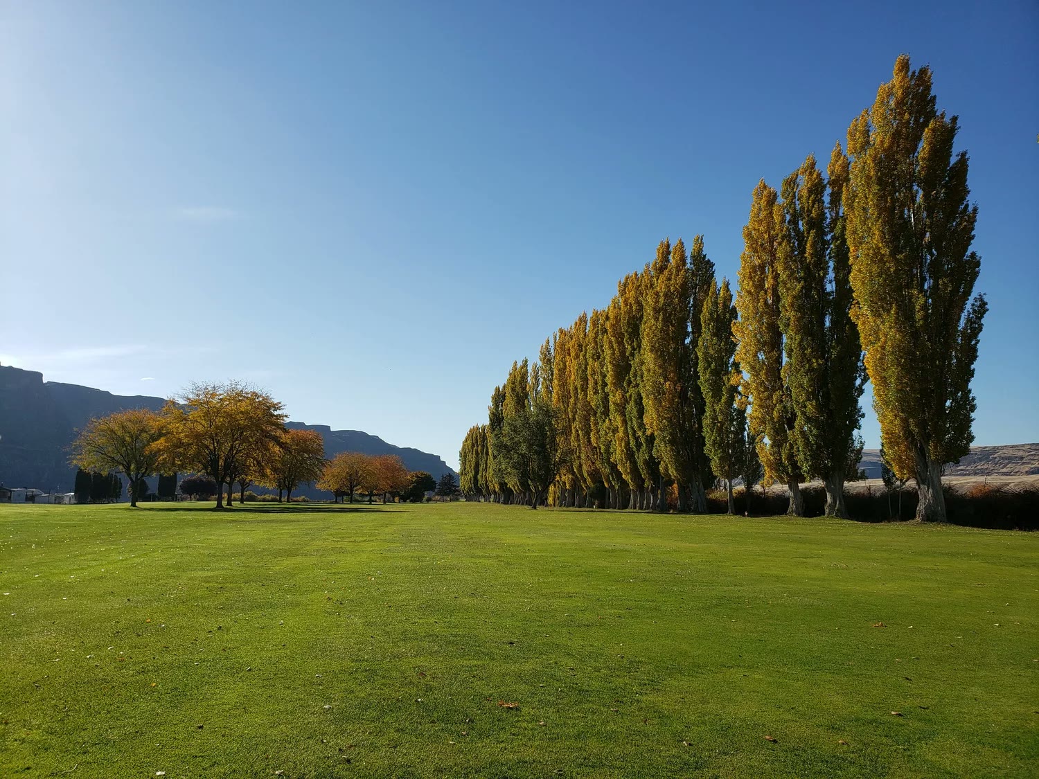 Crescent Bar golf course photo 7
