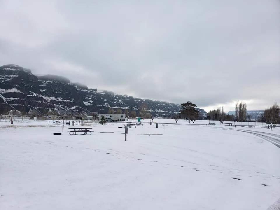 Winter photo 11