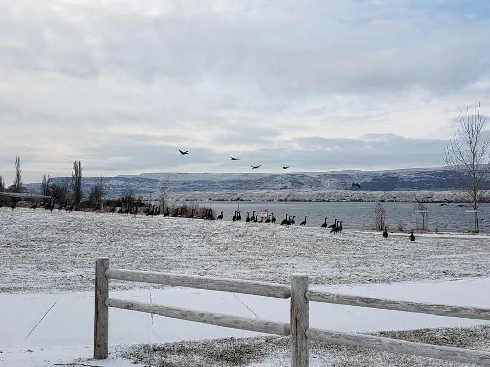 Winter photo 28