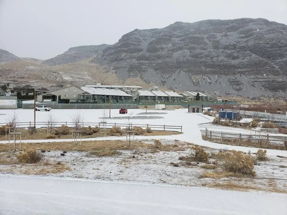 Winter photo 21