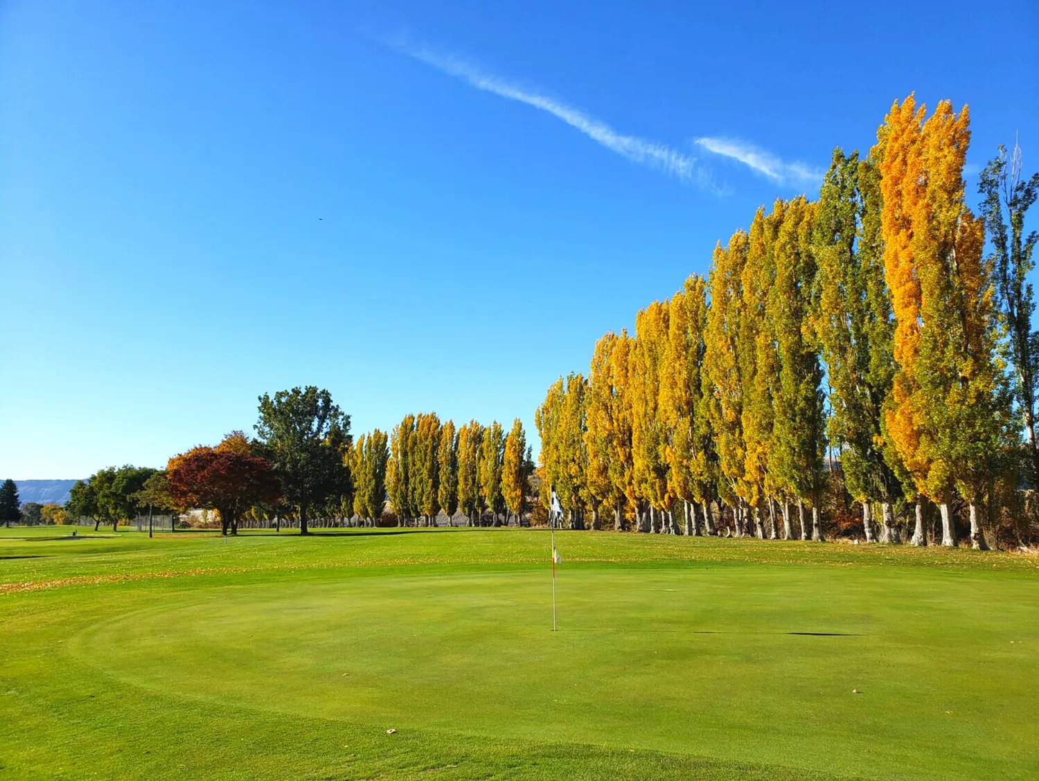 Golf Course photo 2