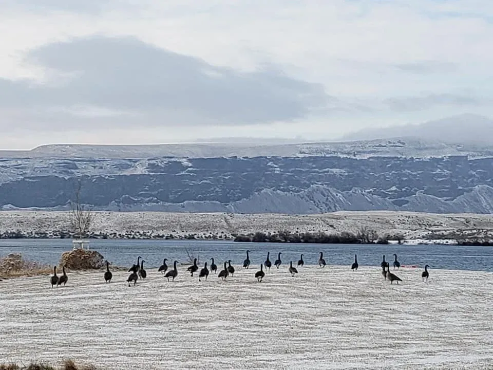 Winter photo 27