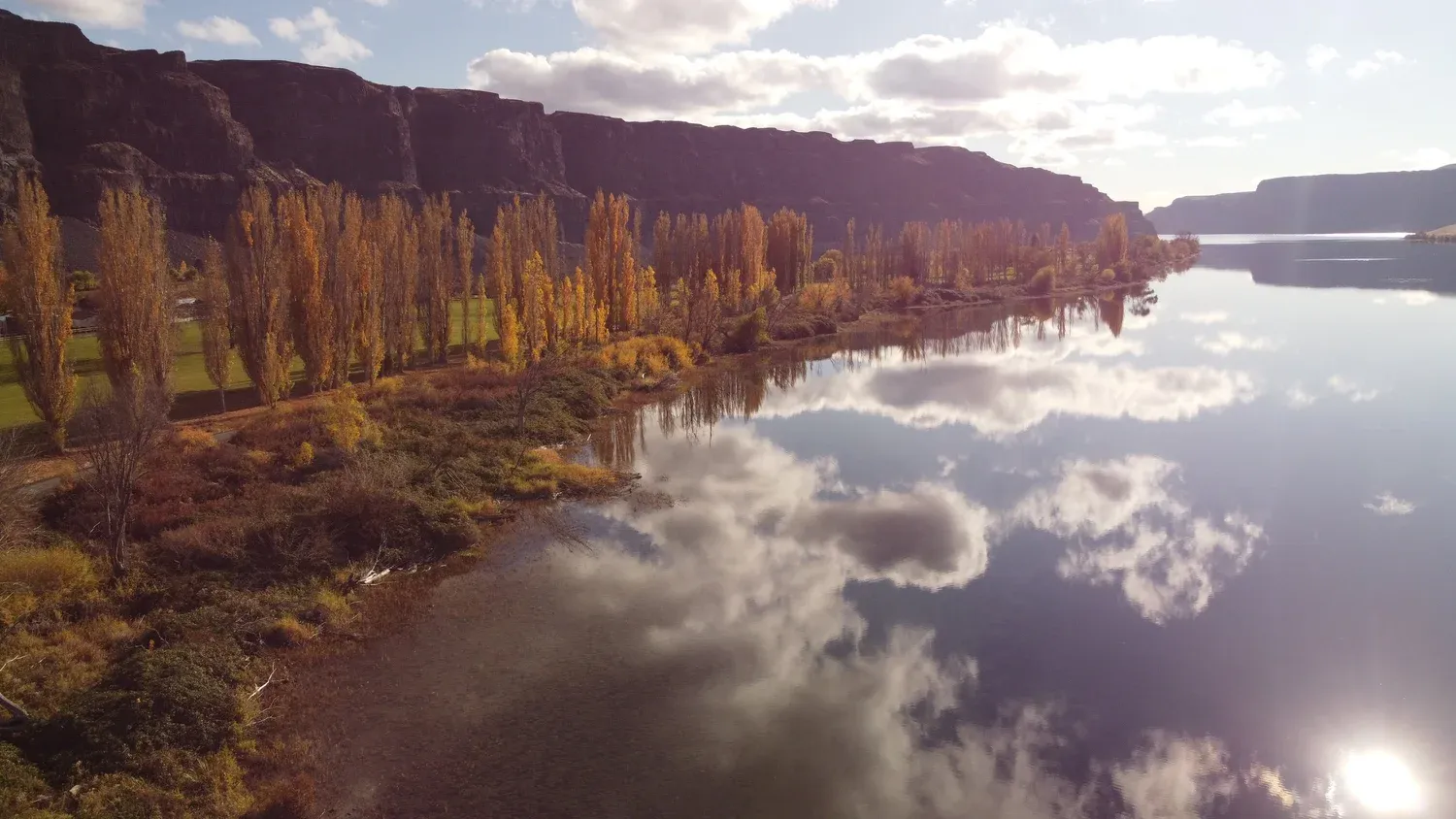 Reflections photo 10