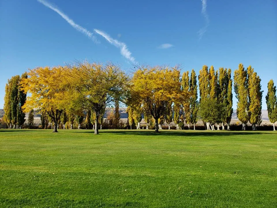 Golf Course photo 10