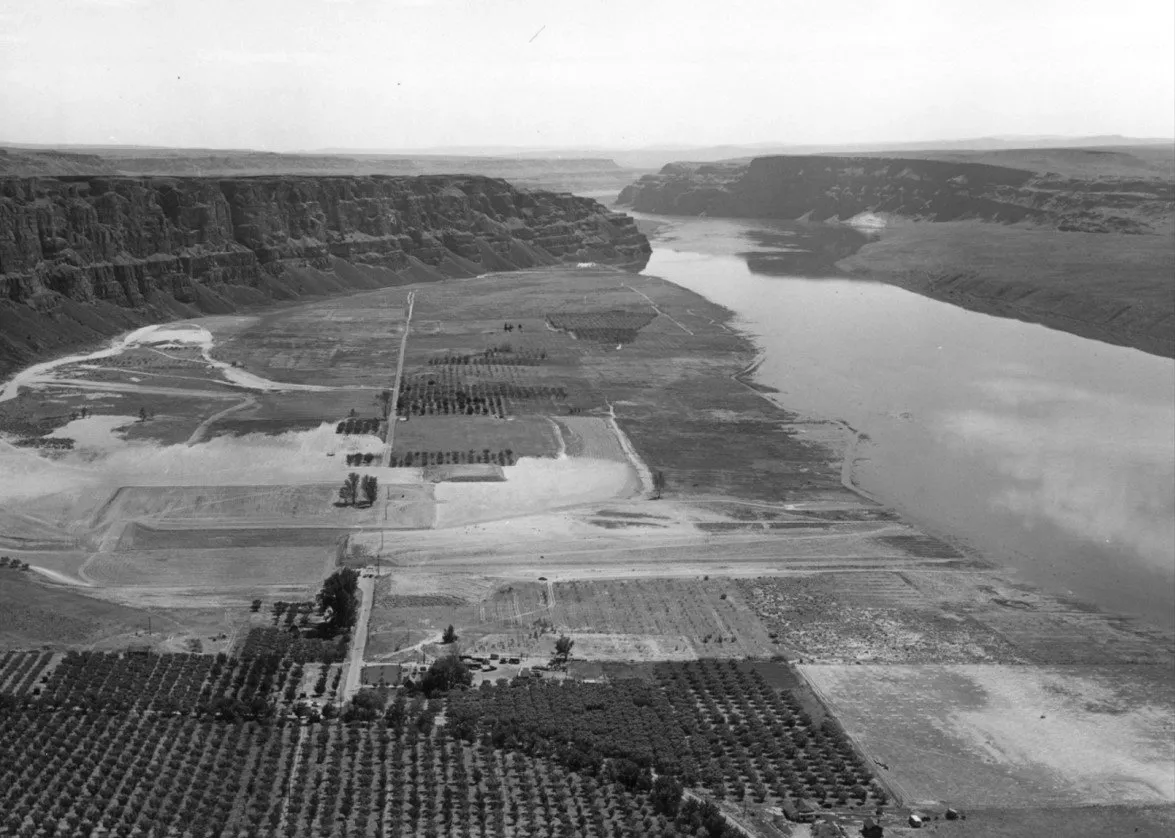 Historical photo 7