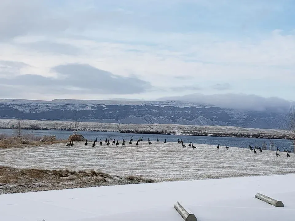 Winter photo 23